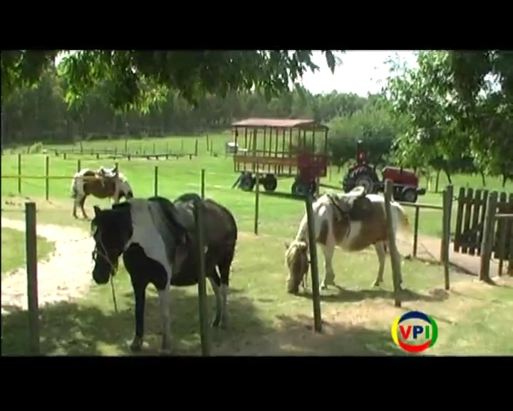 Programa 20 - 30/01/2015
